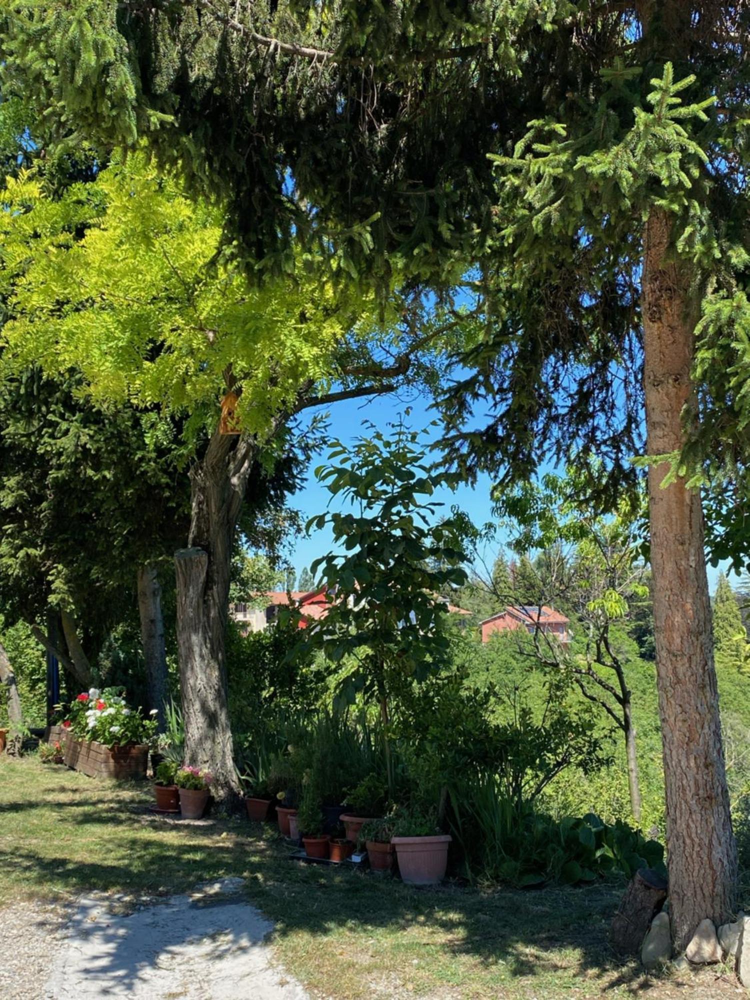 Moncrivel Rooms & Relax Benevello Екстер'єр фото